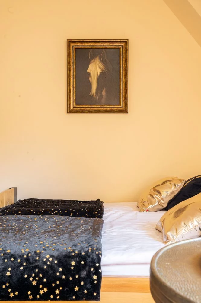 Apartament Złote Misie