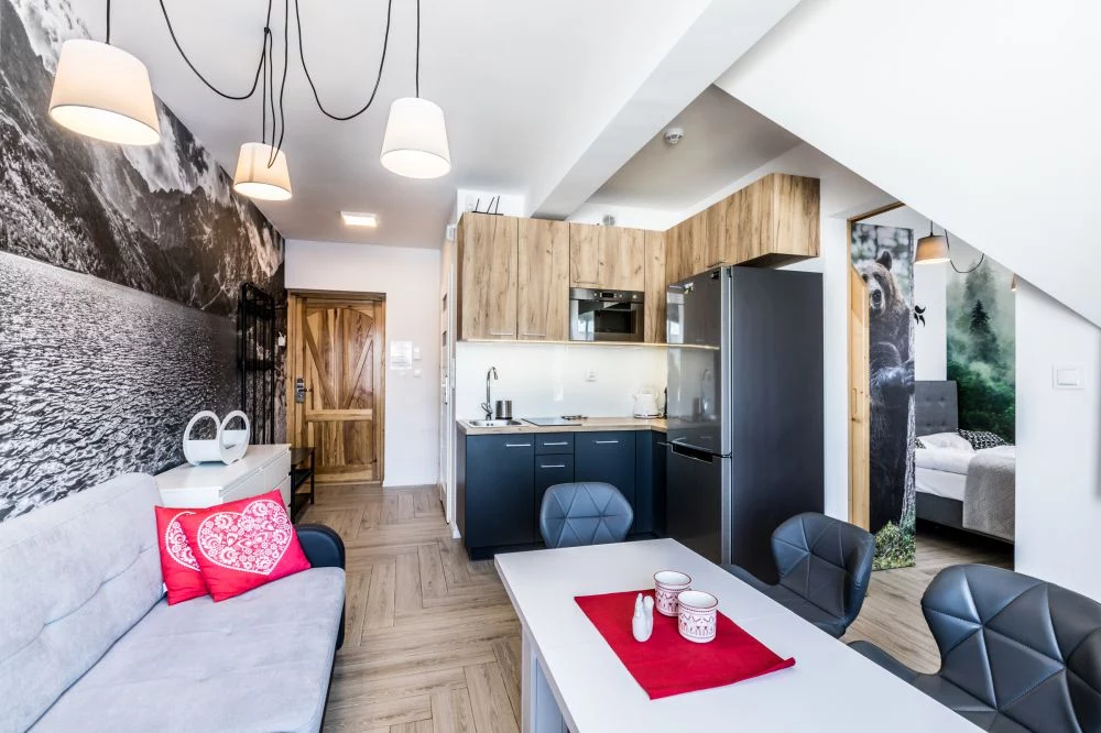 Apartament Wyjątkowe Kościelisko