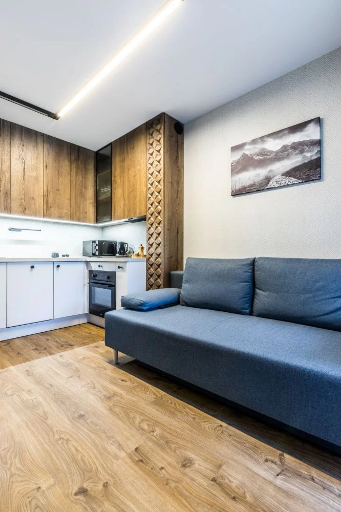 Apartament Makuszyńskiego Lux 1
