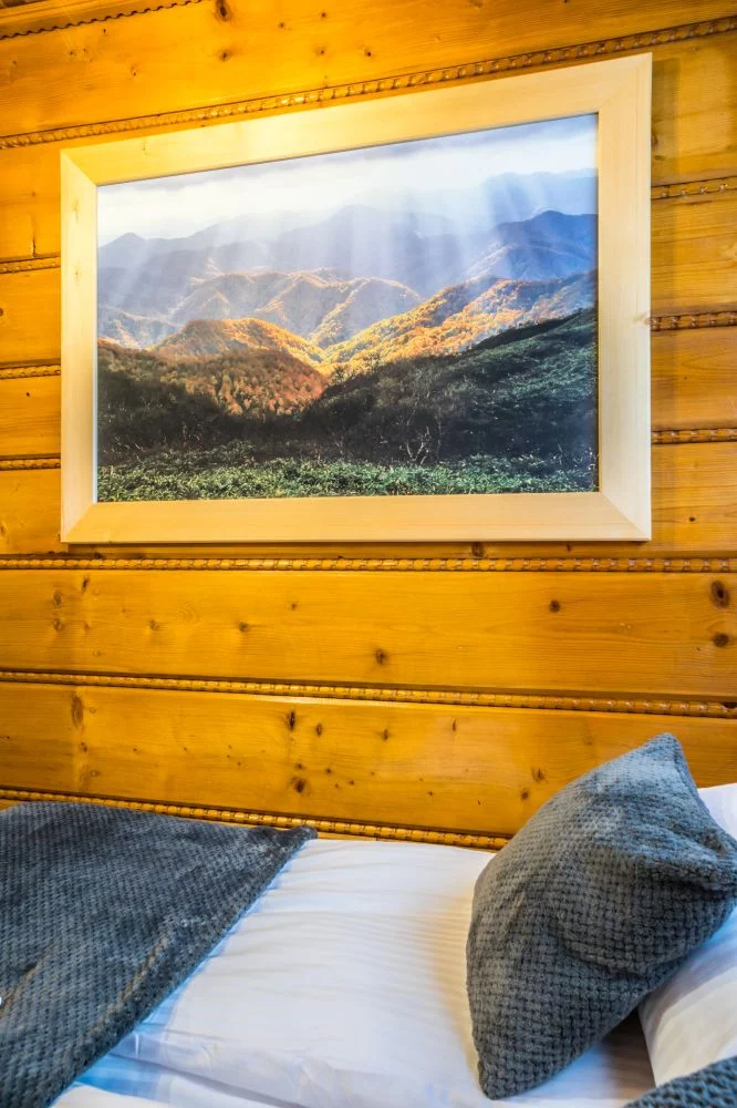 Apartament Regionalny Centrum