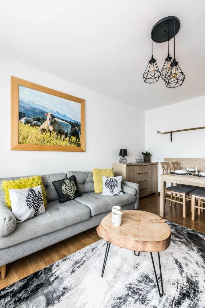 Apartament Regionalny Centrum