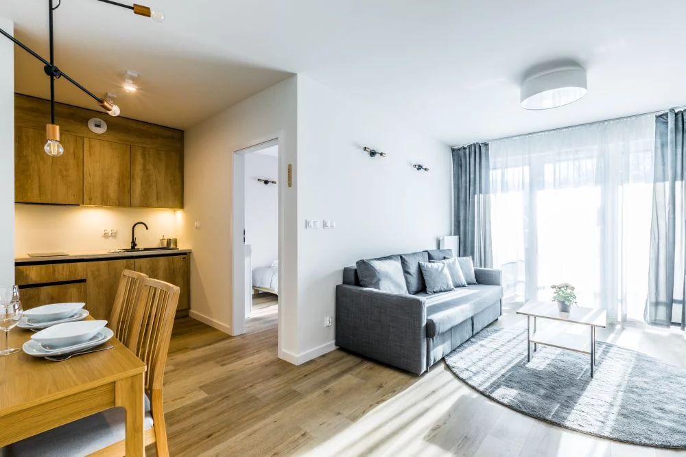 Ap. Zakopiański & Relax 113