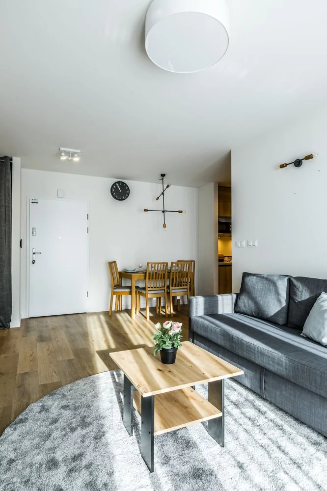 Ap. Zakopiański & Relax 113