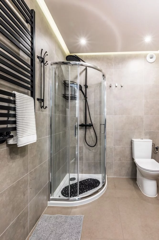 Ap. Zakopiański & Relax 113