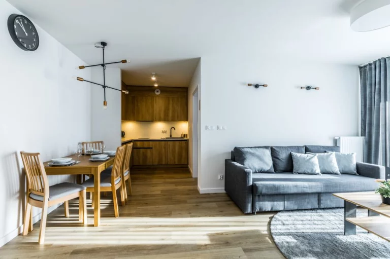 Ap. Zakopiański & Relax 113