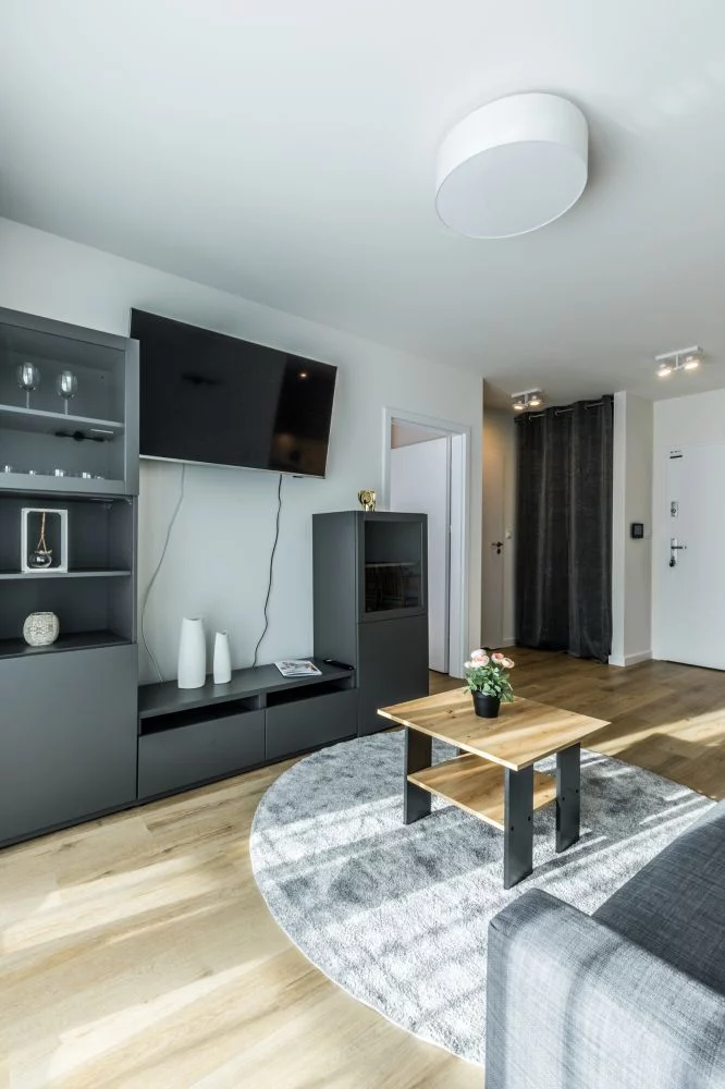 Ap. Zakopiański & Relax 113