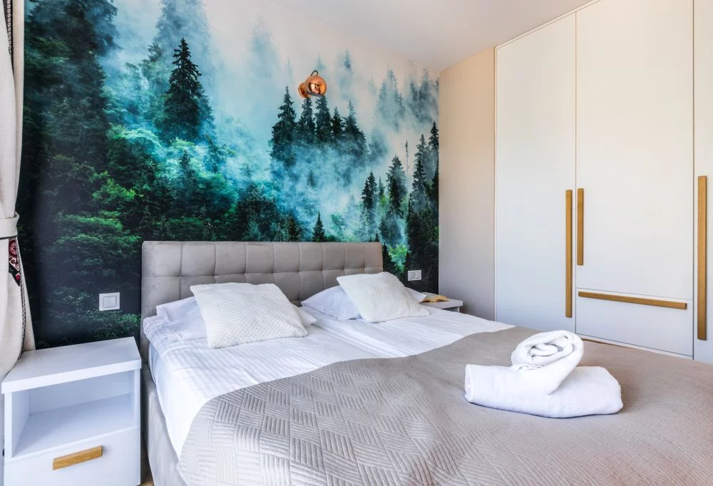 Ap. Zakopiański & Relax 417